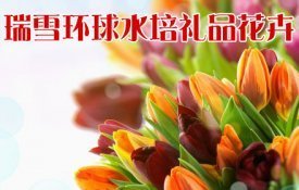 瑞雪环球水培礼品花卉(上地店)团购,地址,电话 - 海淀,上地 - 拉手网北京站