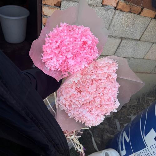 永生花绣球婚庆装饰情人节礼物圣诞干花安娜绣球diy花束大束花卉